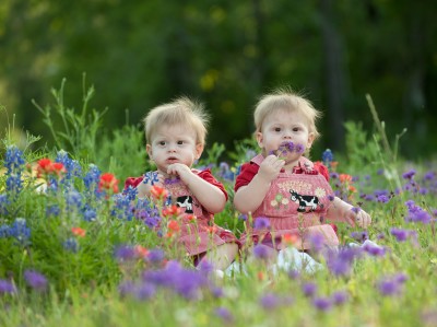 Twins in flowers 2013 b