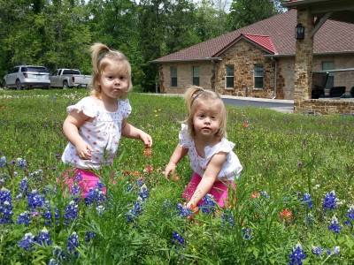 Twins in flowers 2014