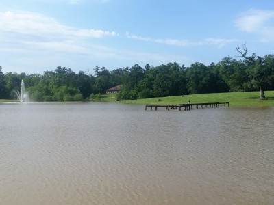 Flooded lake